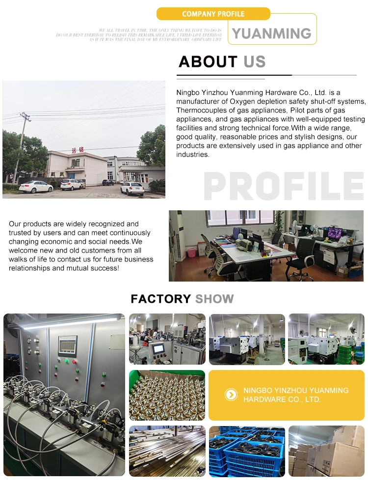 Informa&ccedil;&otilde;es da empresa